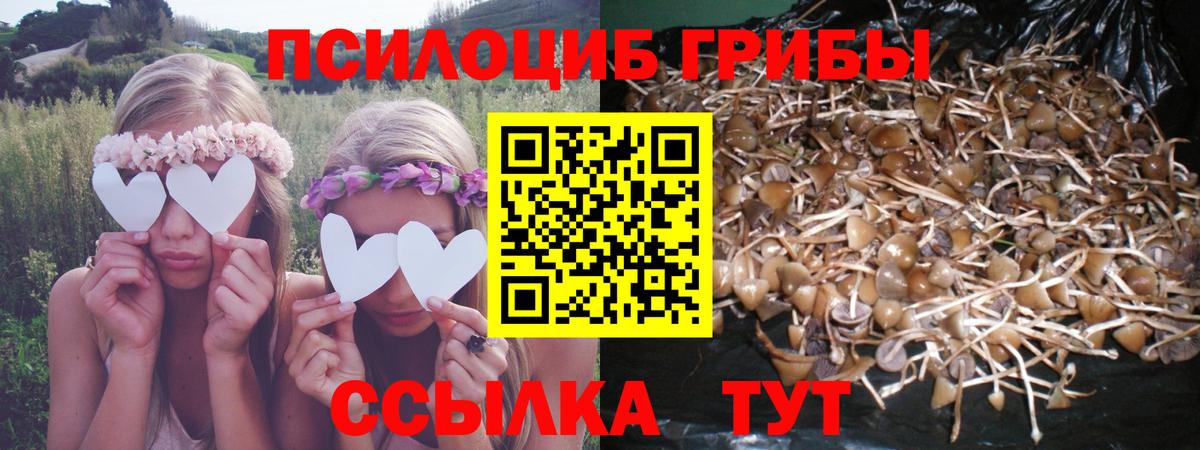 купить наркотик  Псилоцибиновые грибы Psilocybine cubensis  Вход с VPN  Лысьва 